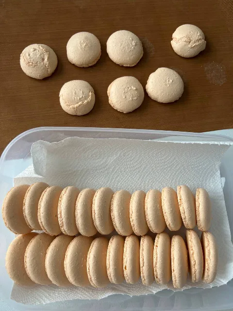 Результат Terezia